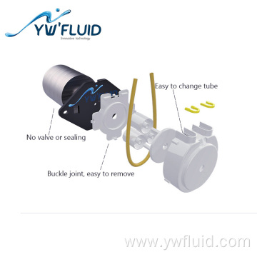Peristaltic pump DC motor and micro water pump